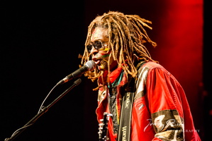 TM Stevens LIVE in Vienna